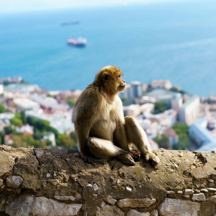 Gibraltar